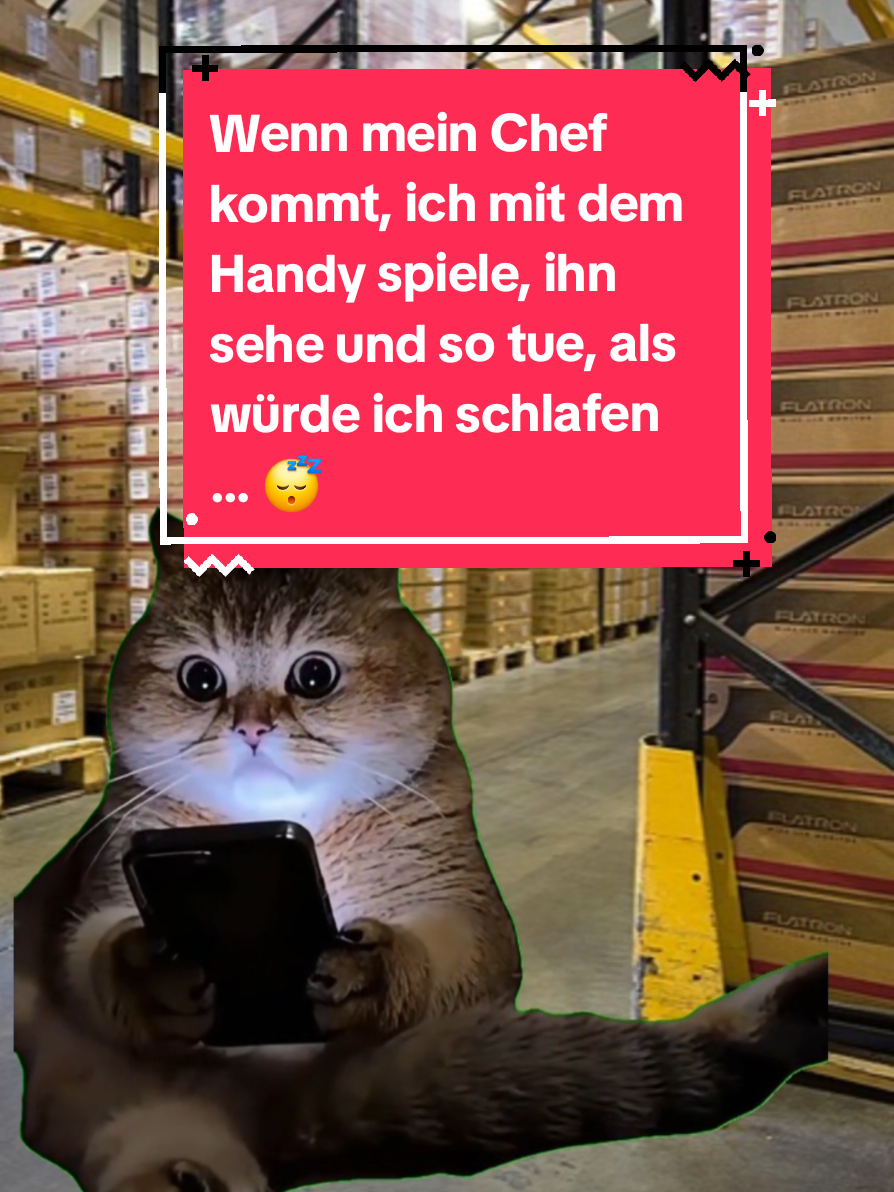 @BroFactsDE