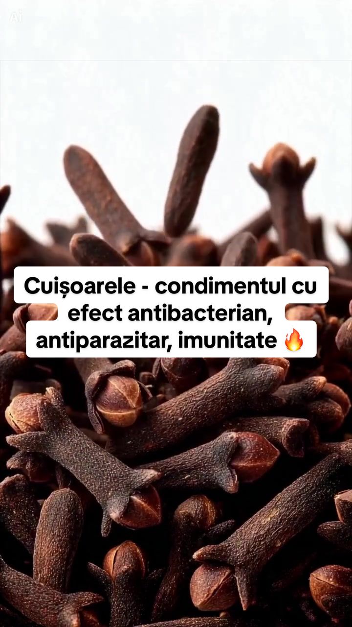 @Altfeel
