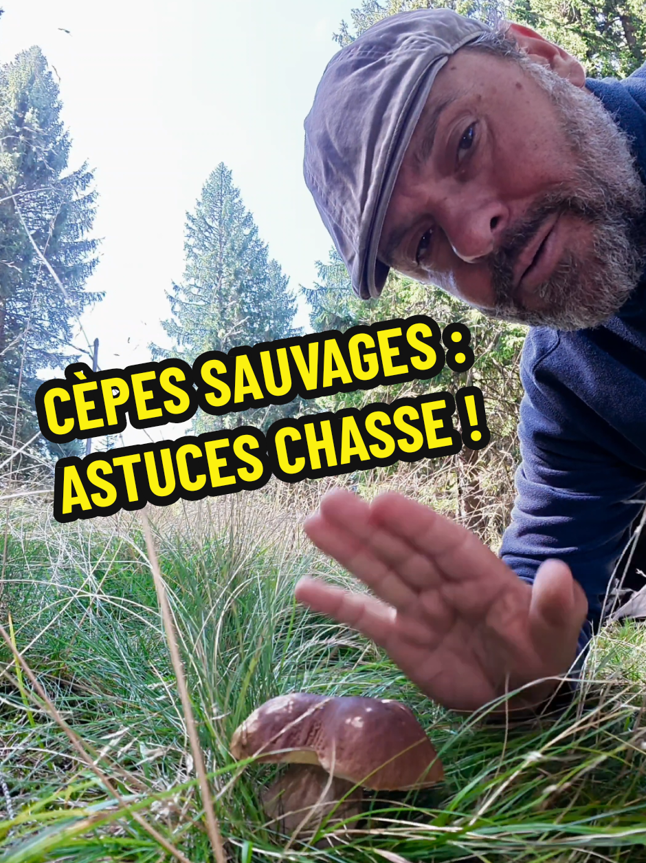 @Dan 🍄🟫 Le Champologue