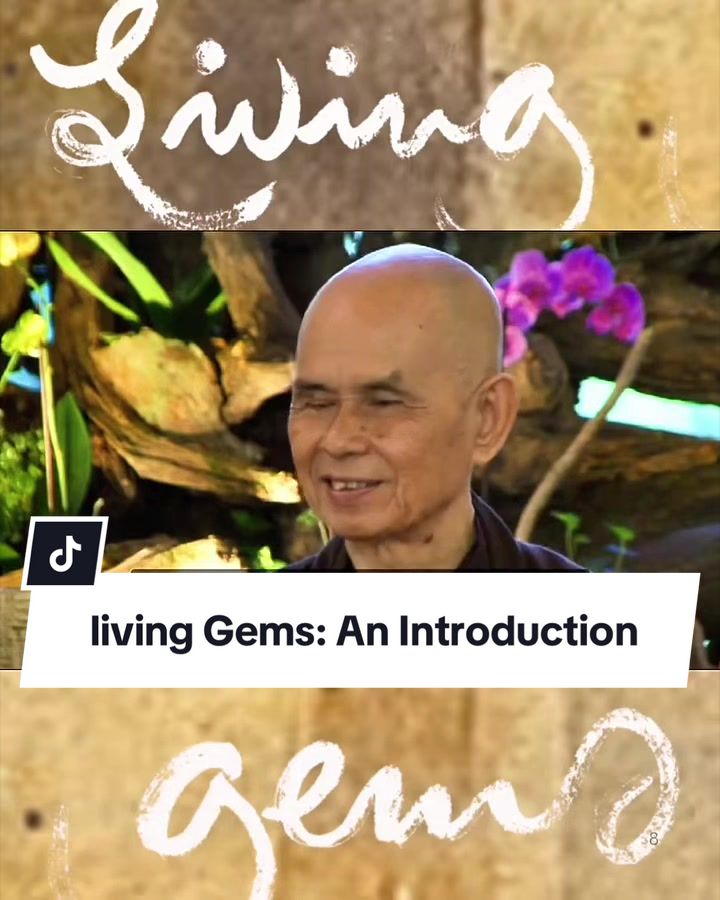 @Plum Village App