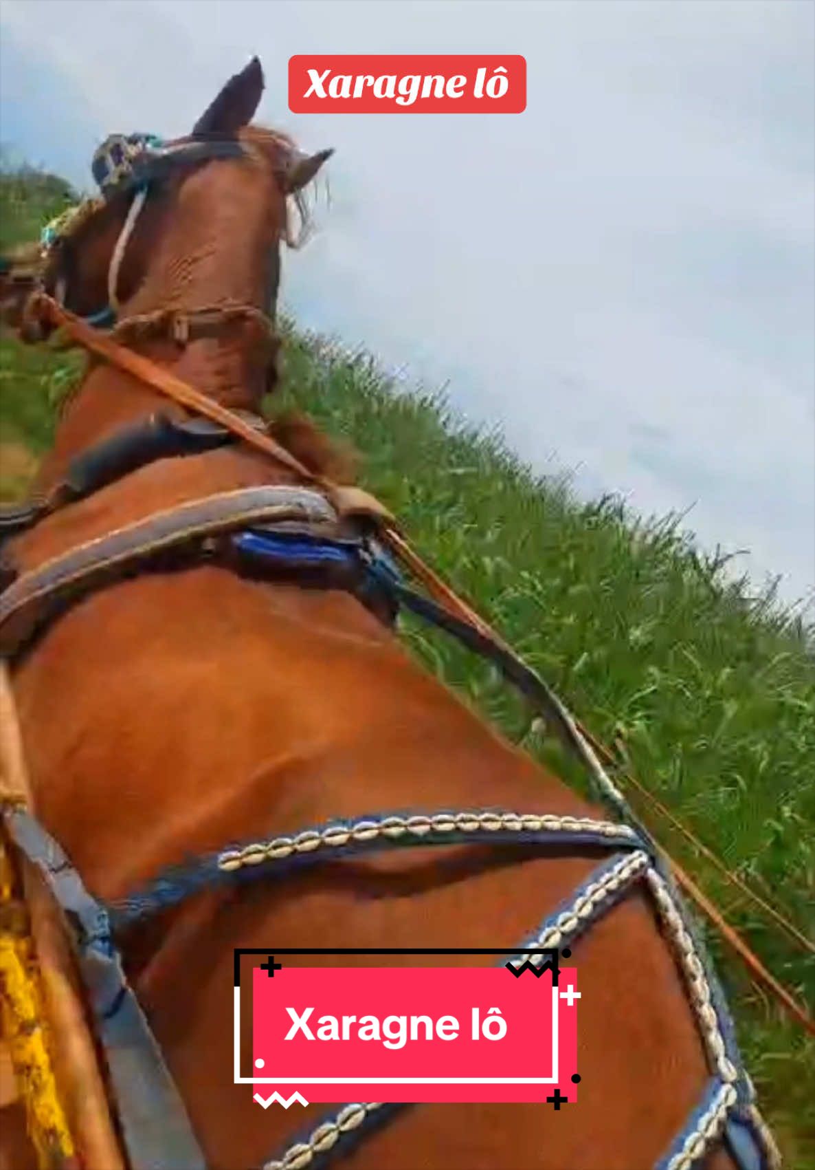 @10milproblem