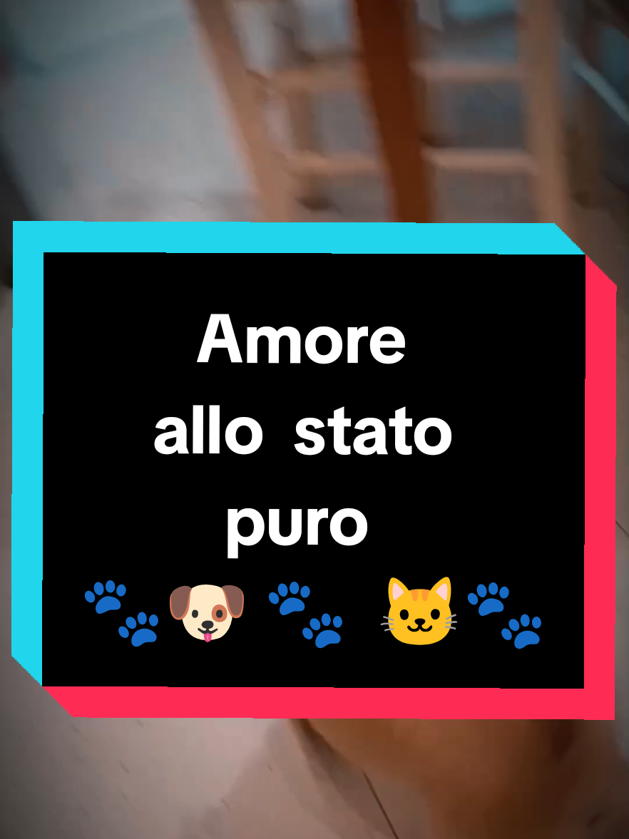 @Vicky🌹