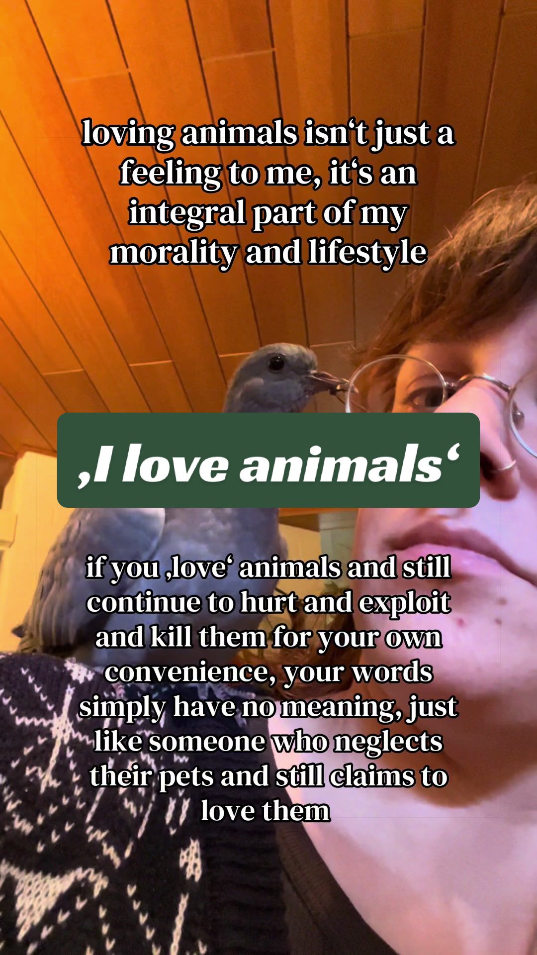 @Lisa‘s Pets