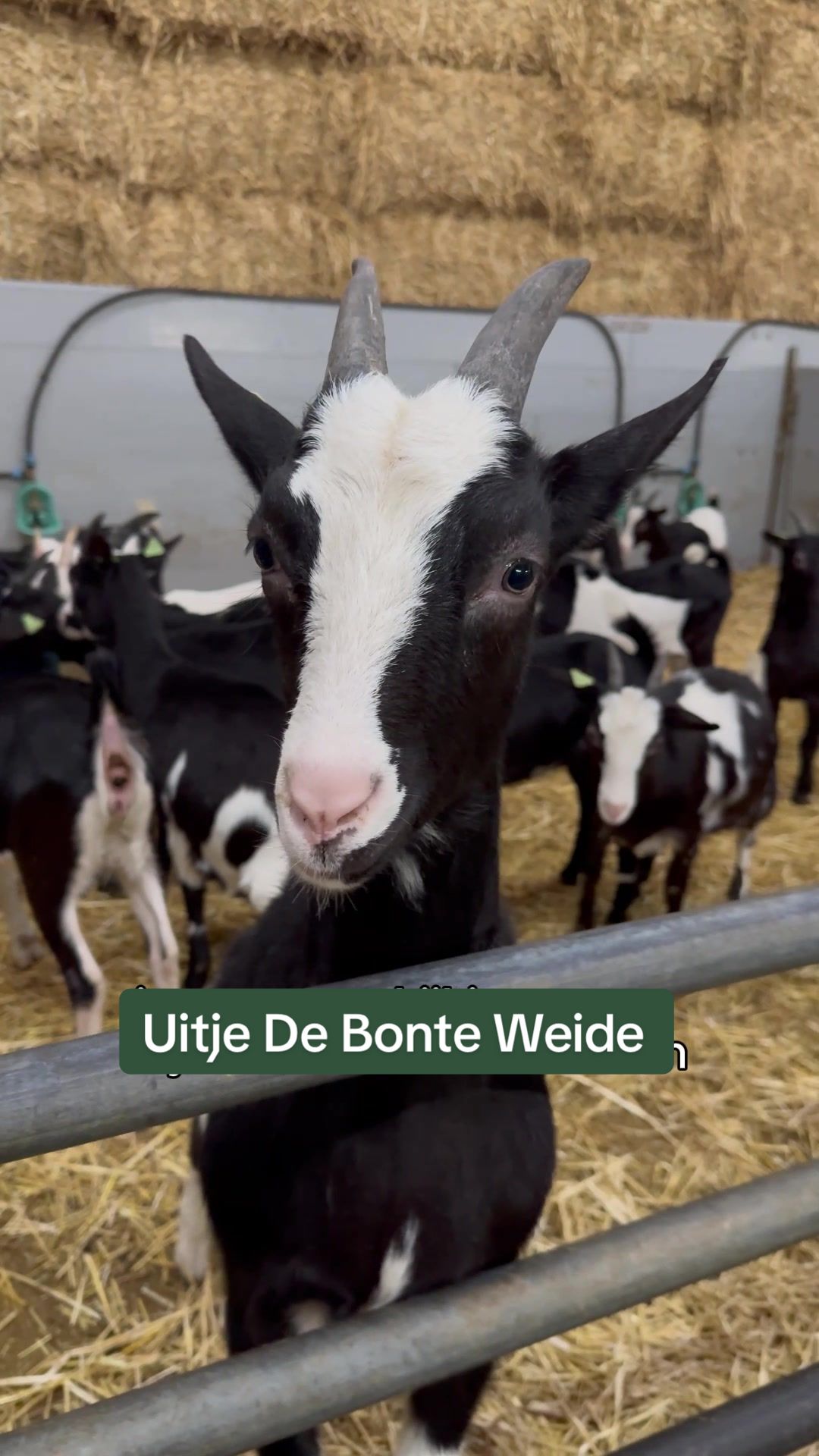 @Eet Natuurlijk Lokaal