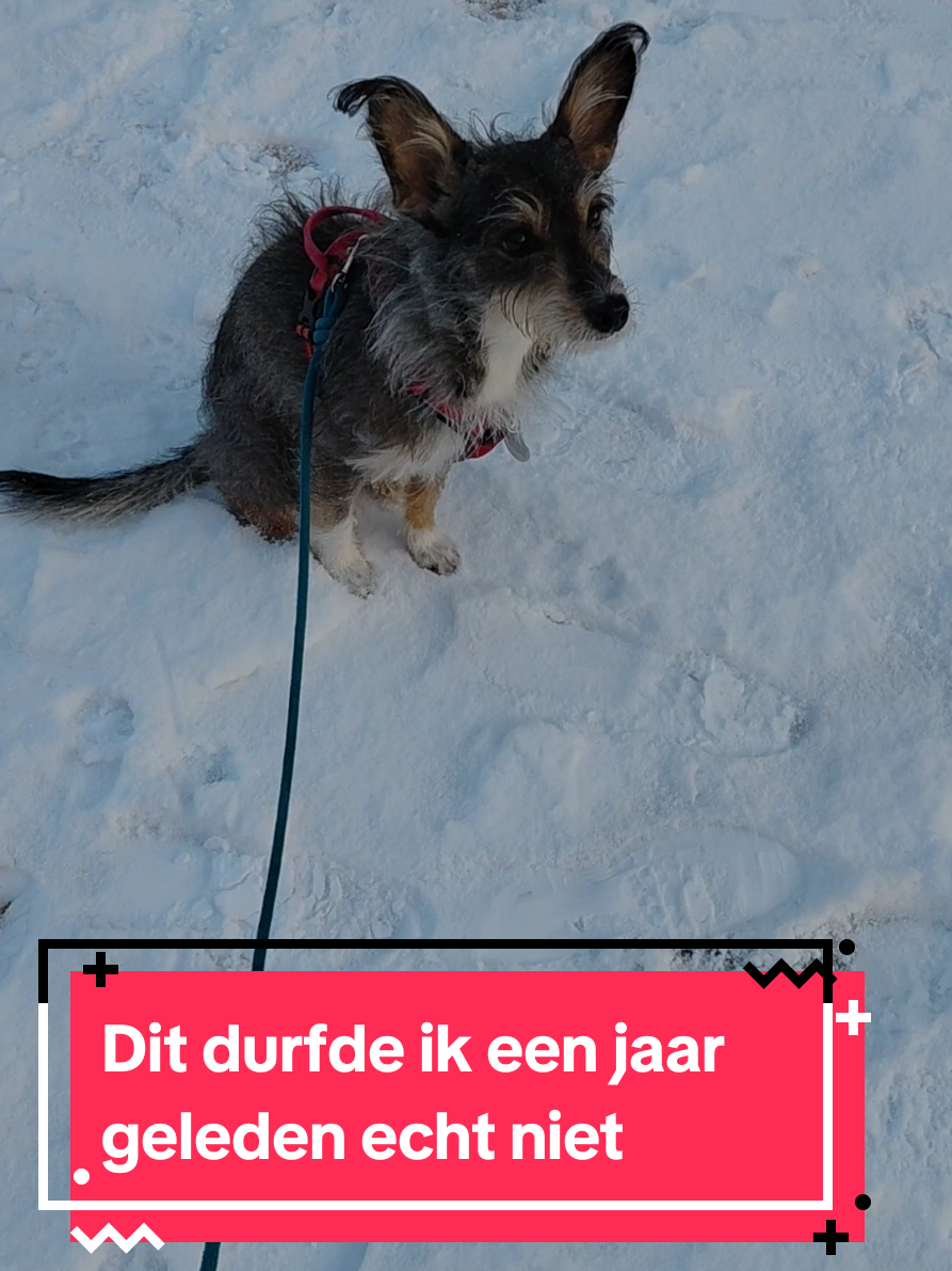 @Safrina's wereld