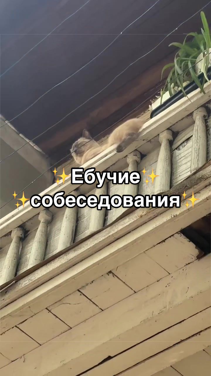 @тг: АрхиDиктат0р говорит!