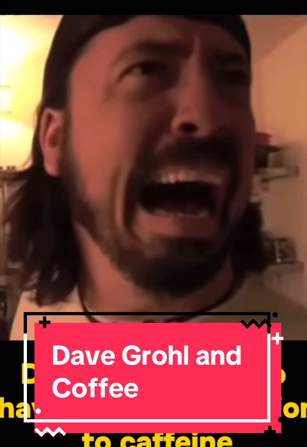 @rocknfact