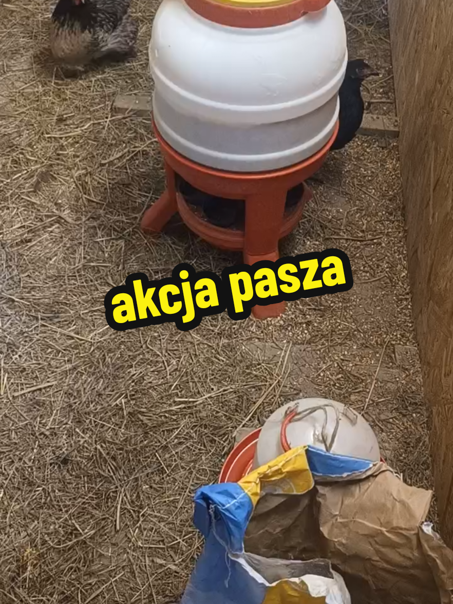 @Marcin ogrodnik