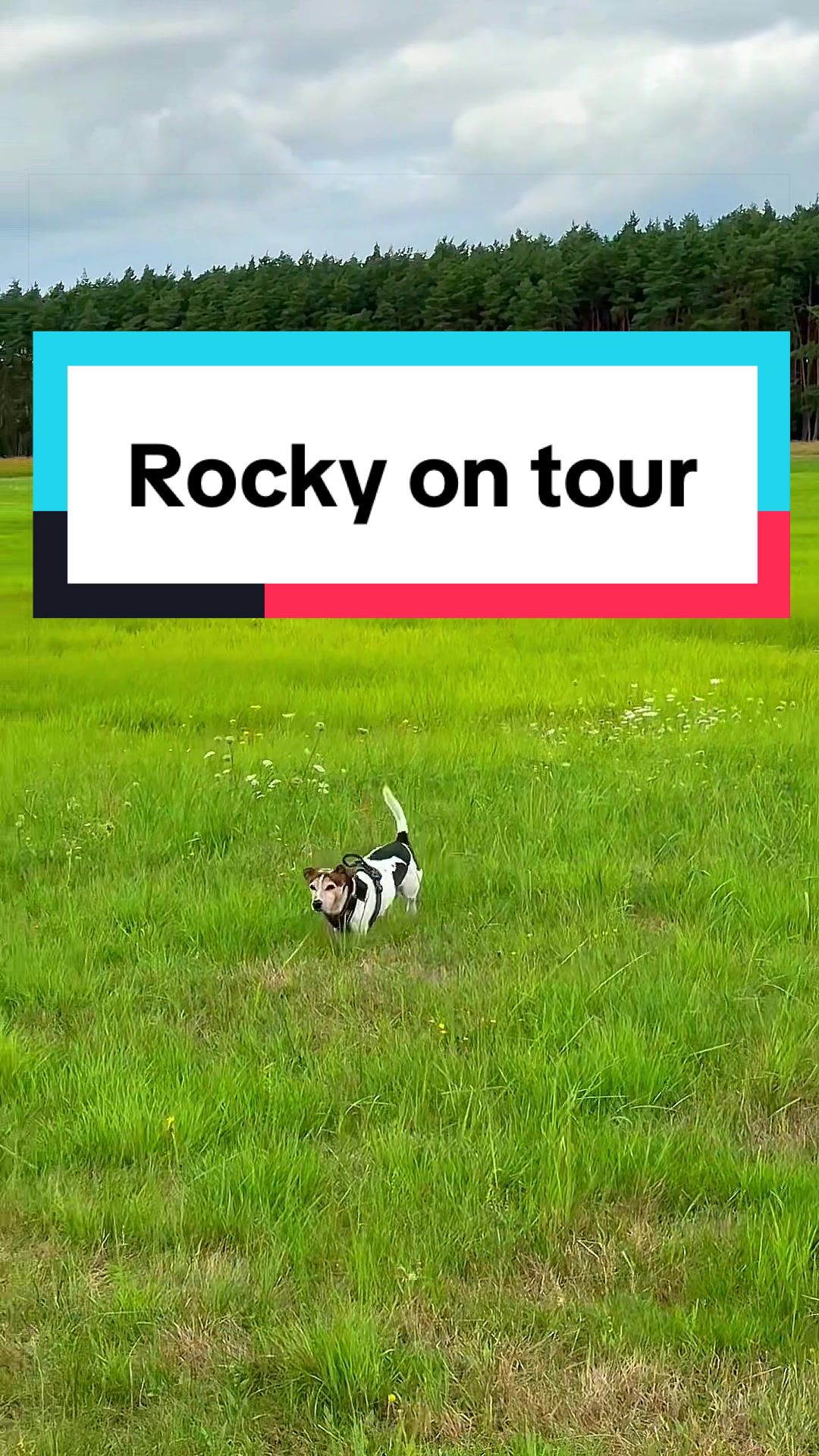 @Rocky und ich