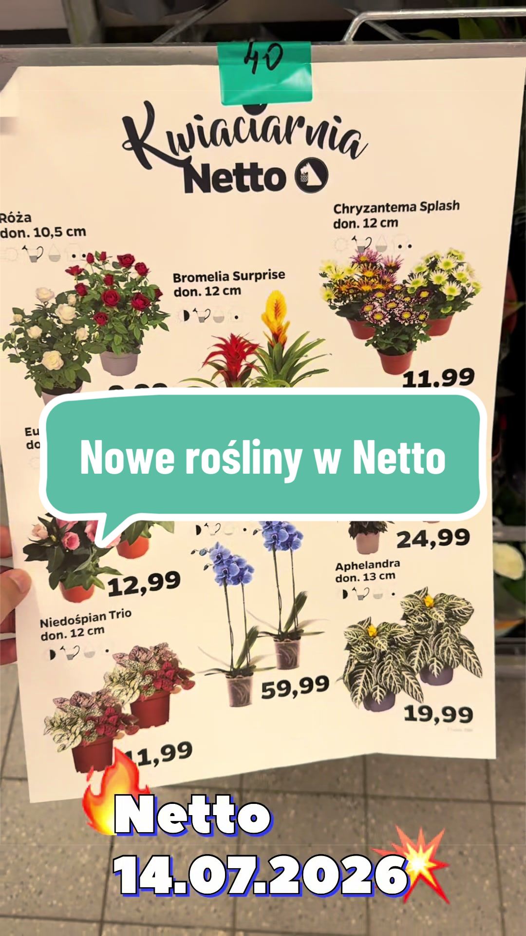 @maciej.plants