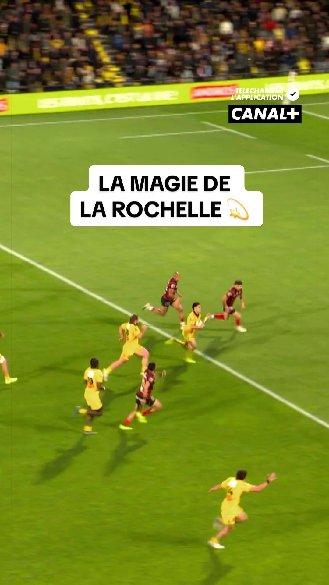 @canalplusrugby