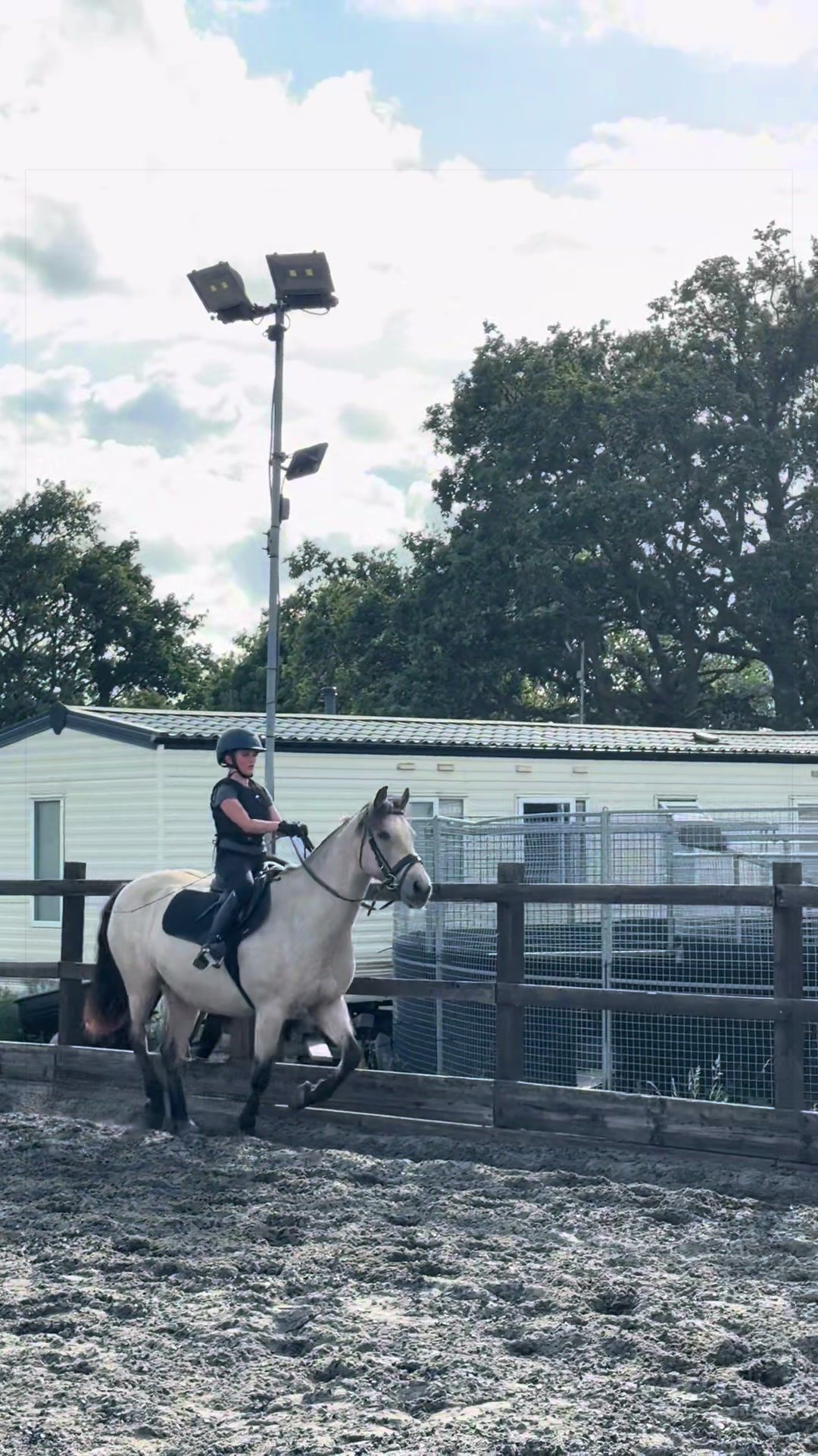 @Bronte&Alfie🍳🤎🐴