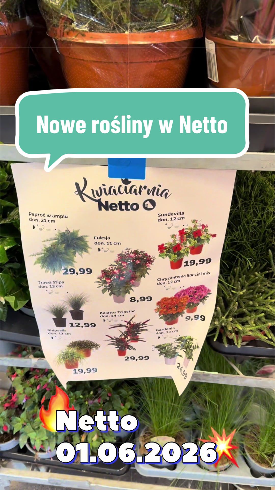 @maciej.plants