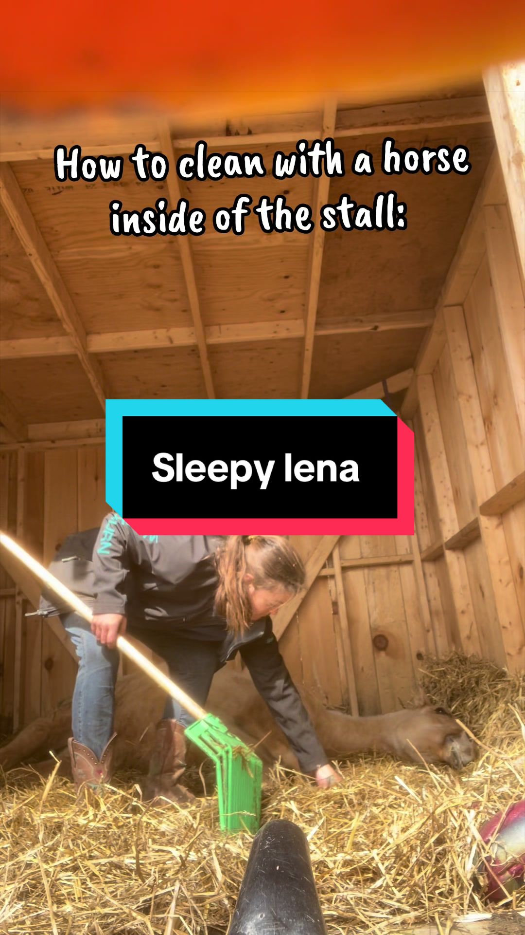 @Sandra’s Pale Herd