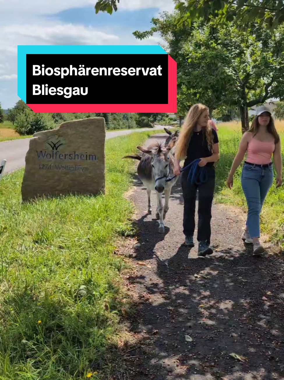 @urlaub.saarland