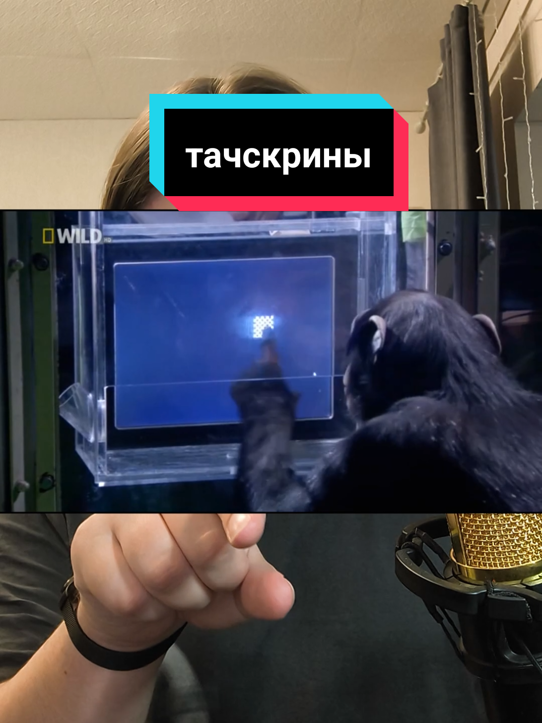@чопокомпик)