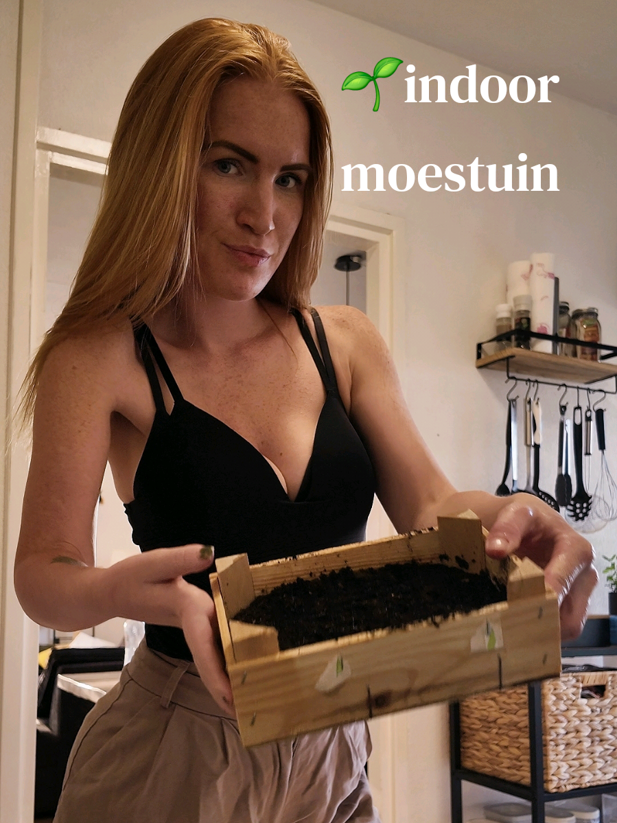 @Tessa Klok