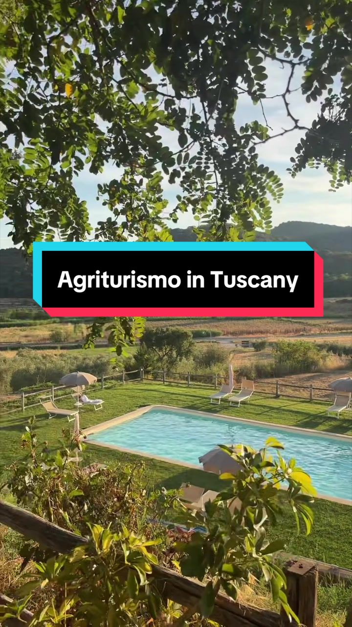 @Dan | UGC | Food & Travel