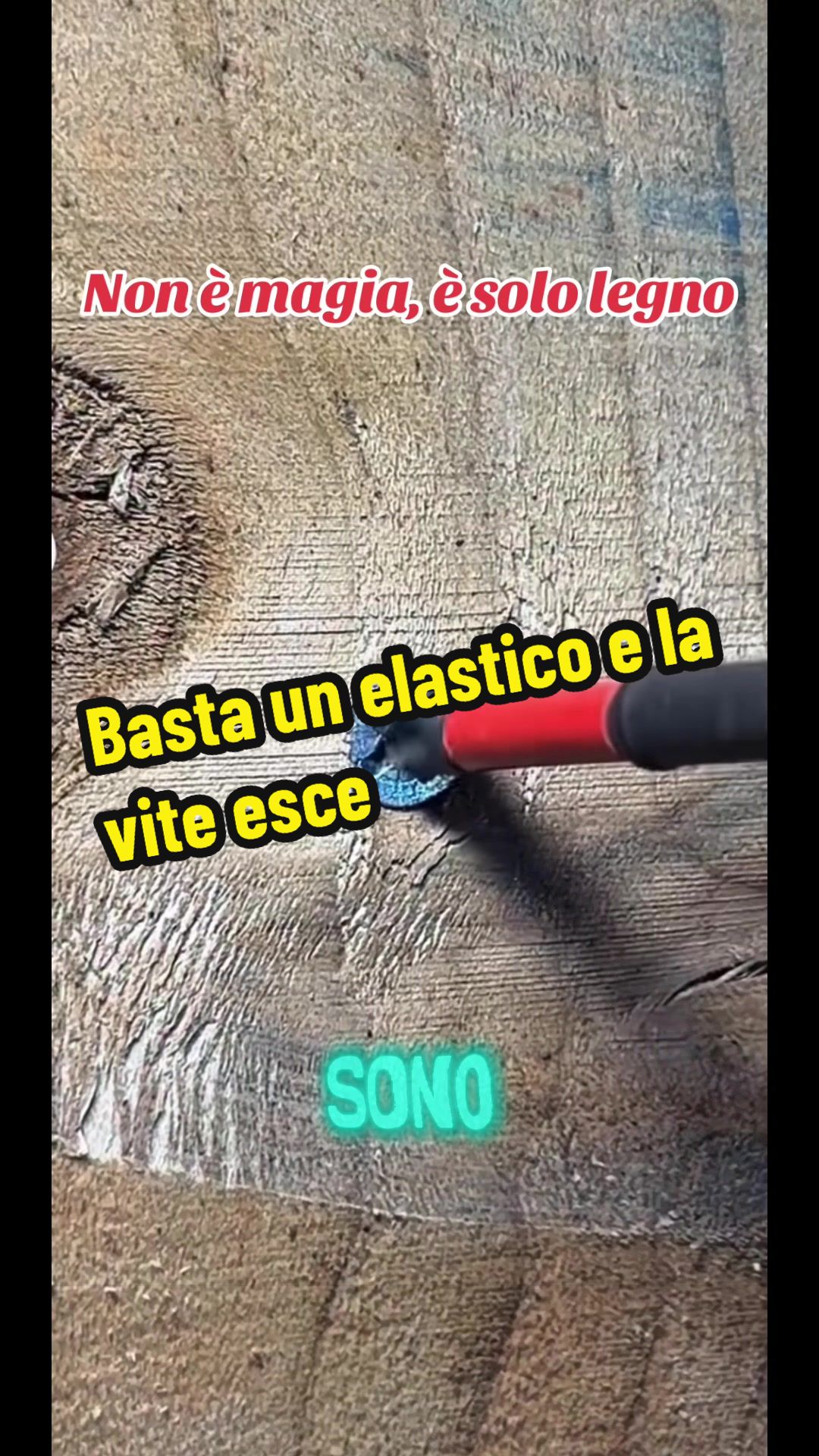 @Alessandro Cuomo ♌️