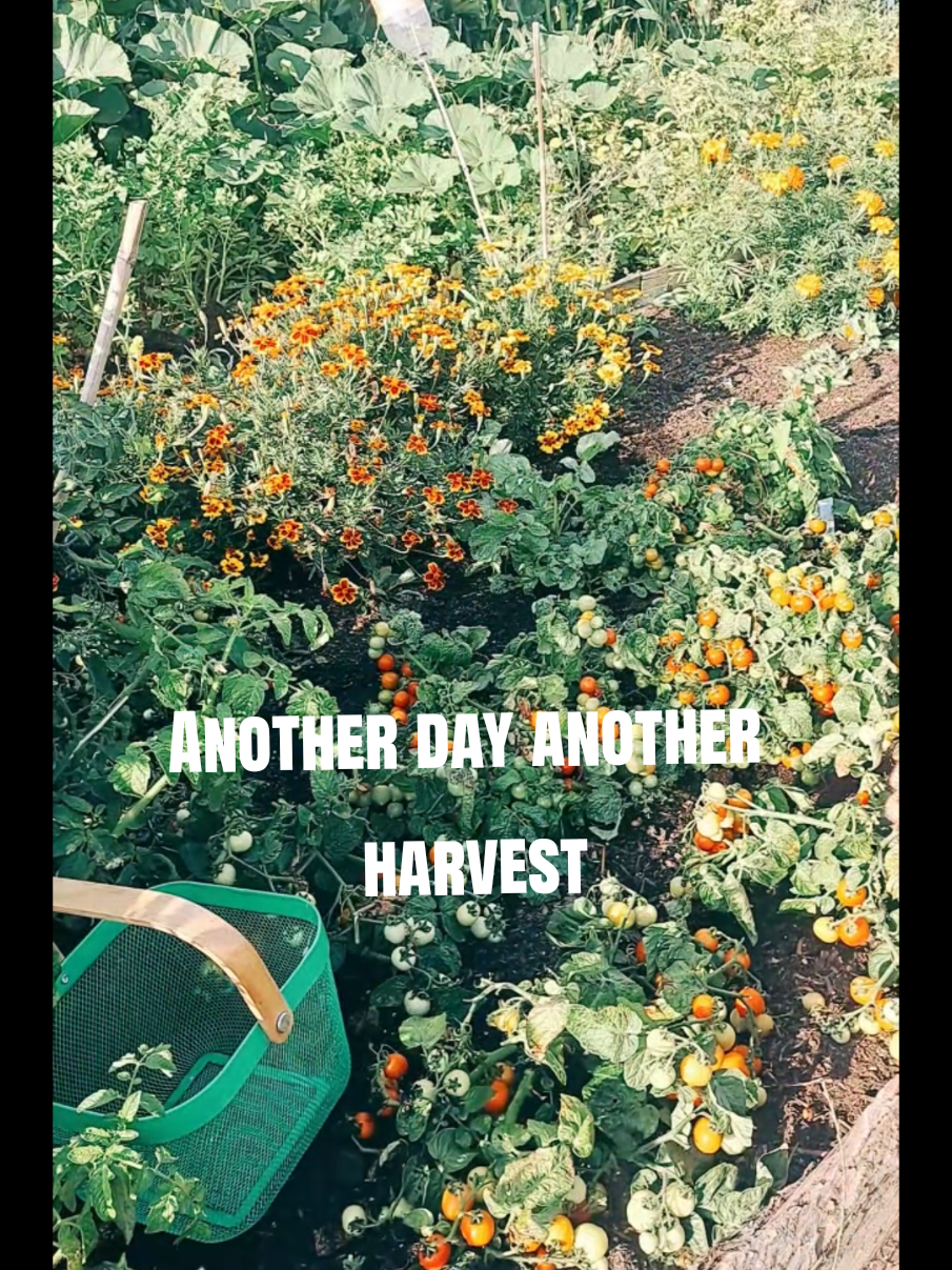 @MAD kyas forever growing💙🧡💚