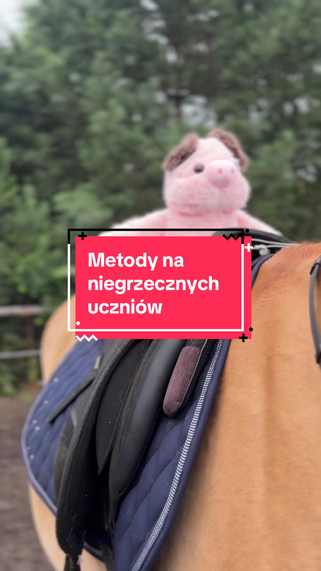 @Weronika Piasecka