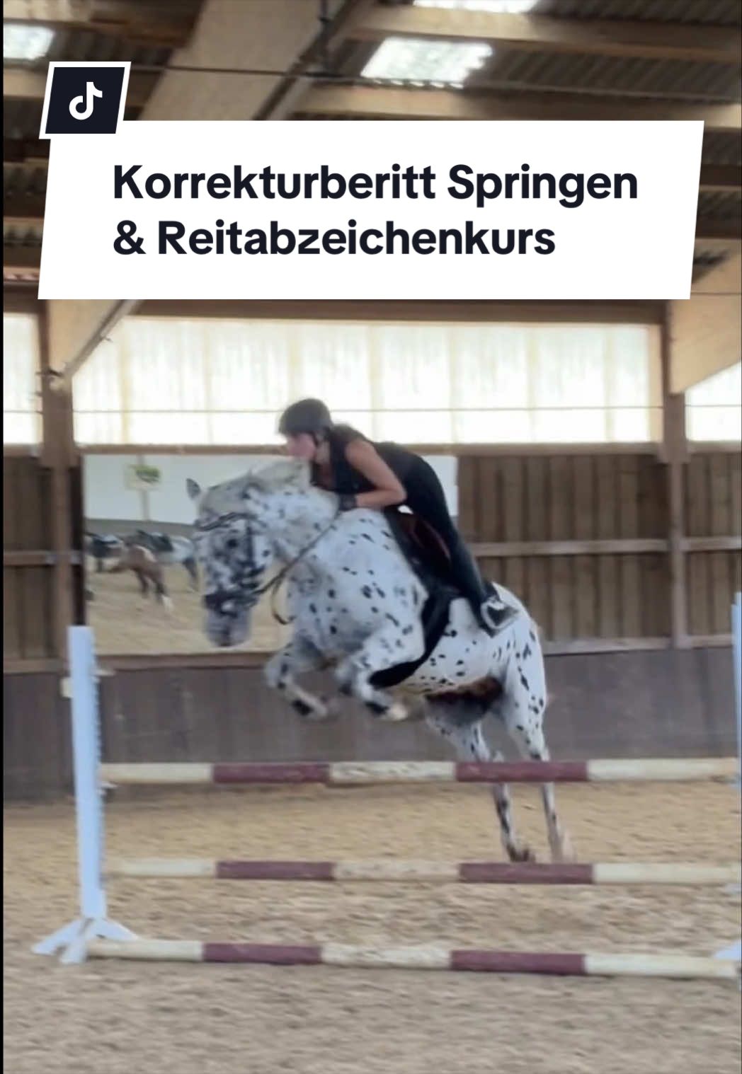 @Sophia • SL Reitschule