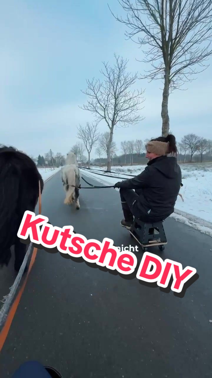 @Svenjaundclippy
