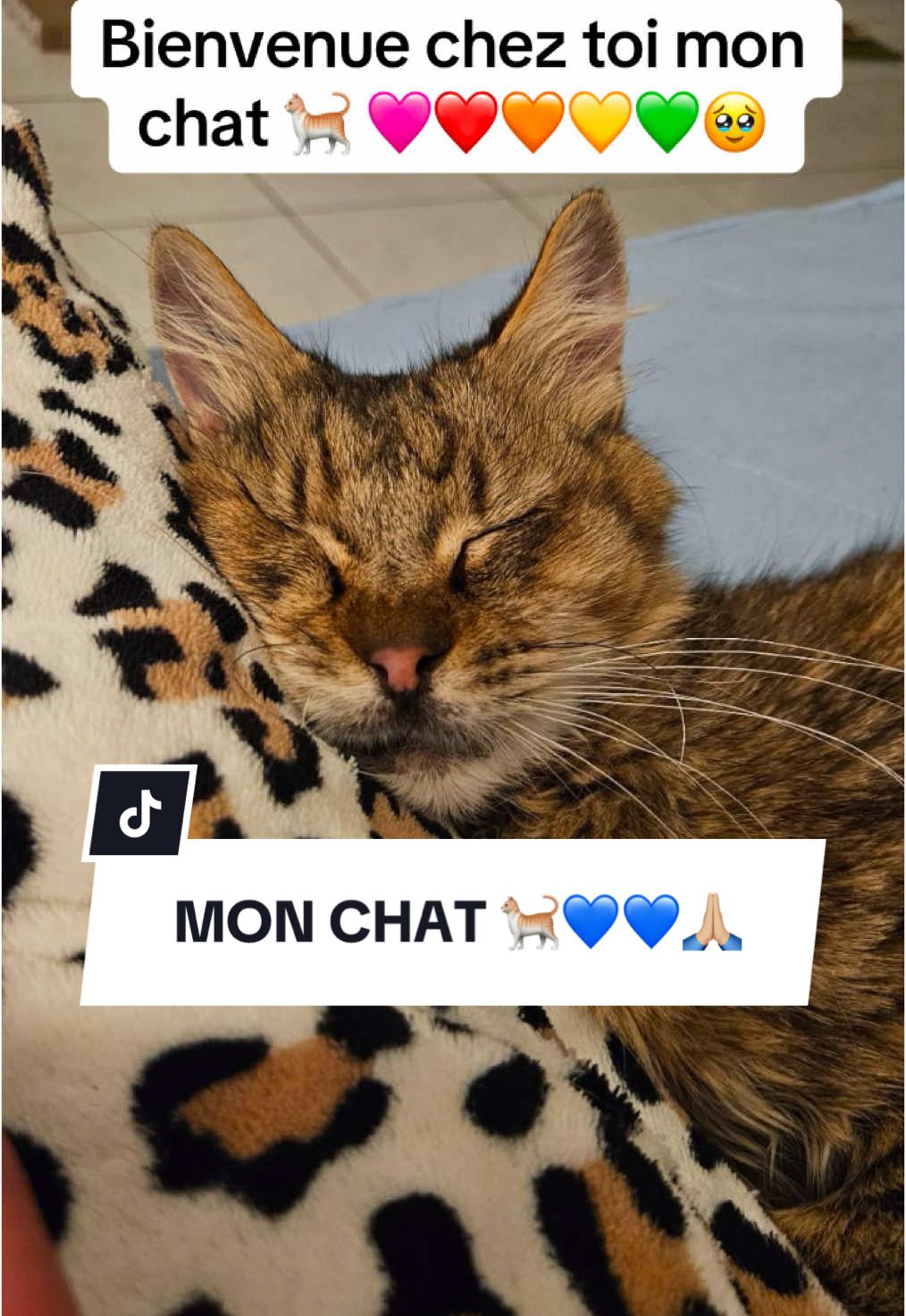 @LoTilia__
