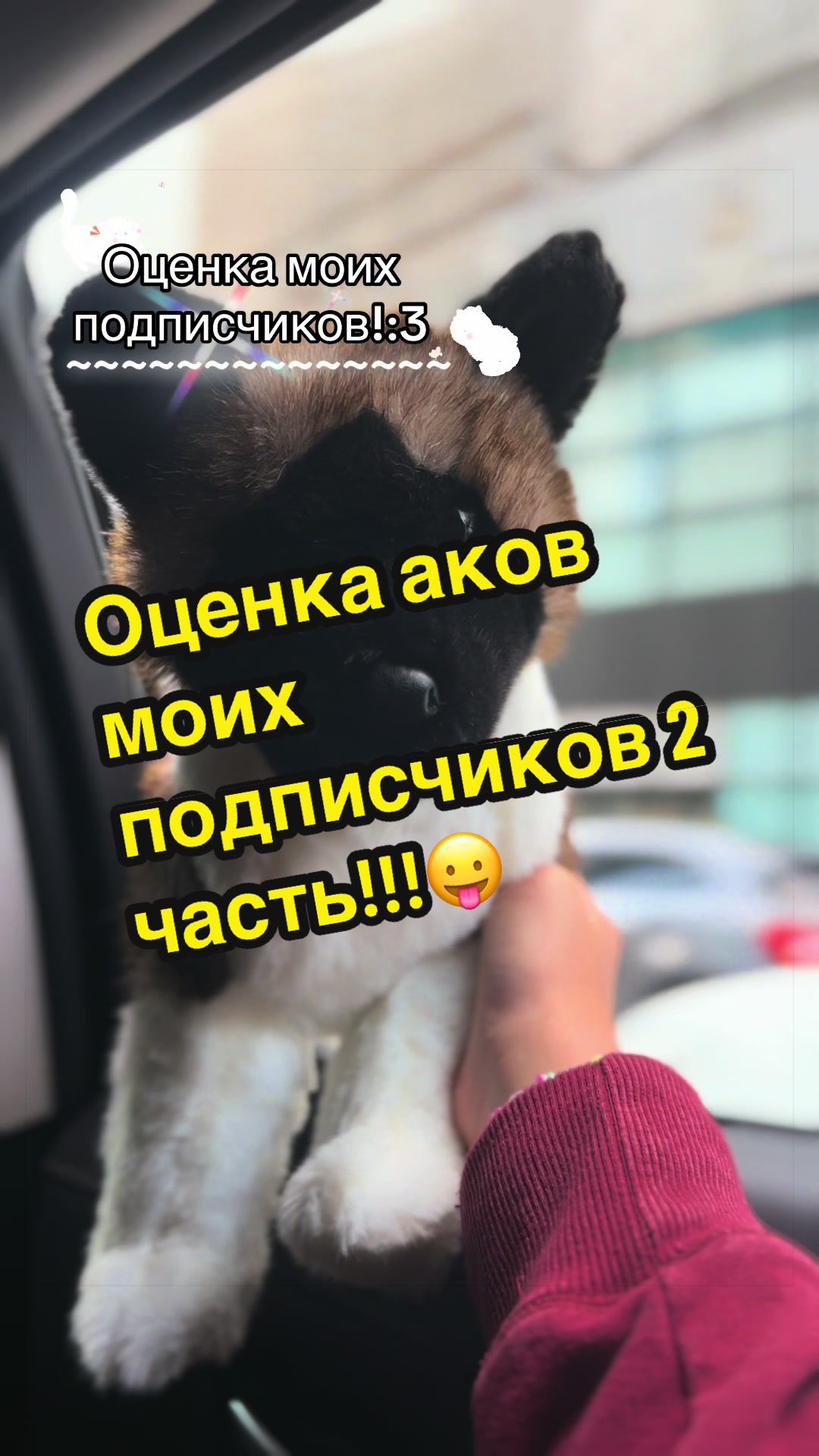 @🍏»𝔘𝔖𝔬𝔪𝔢𝔩_ESAS!⛓(Пдб)«🌿