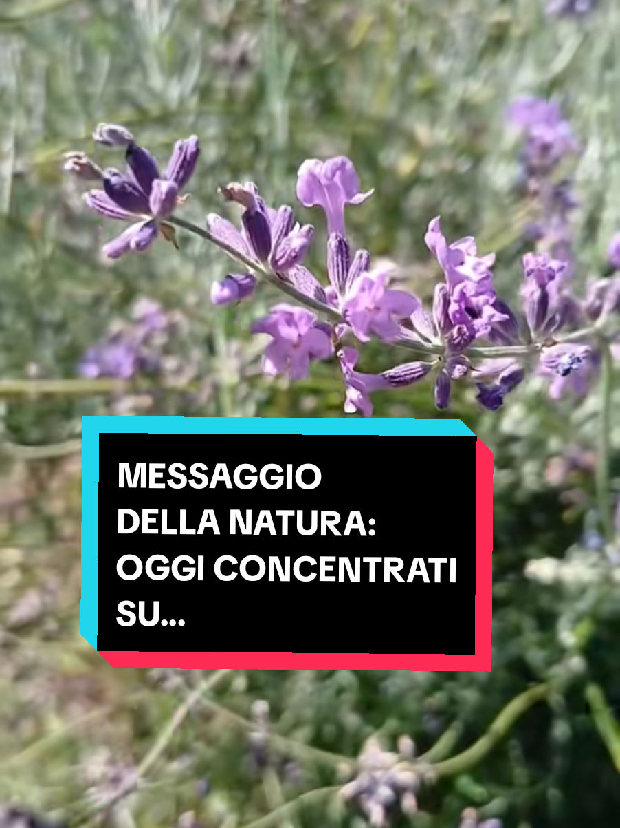 @Alicia Operatrice Olistica