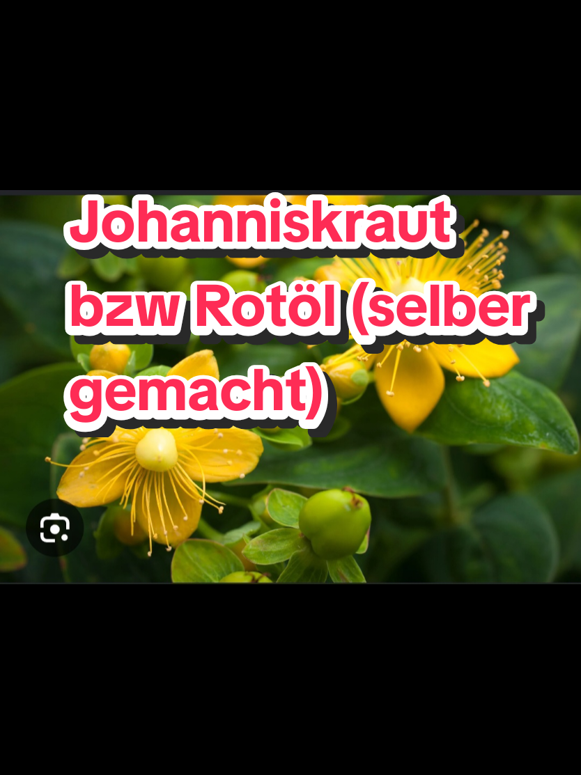 @RedDevil-85