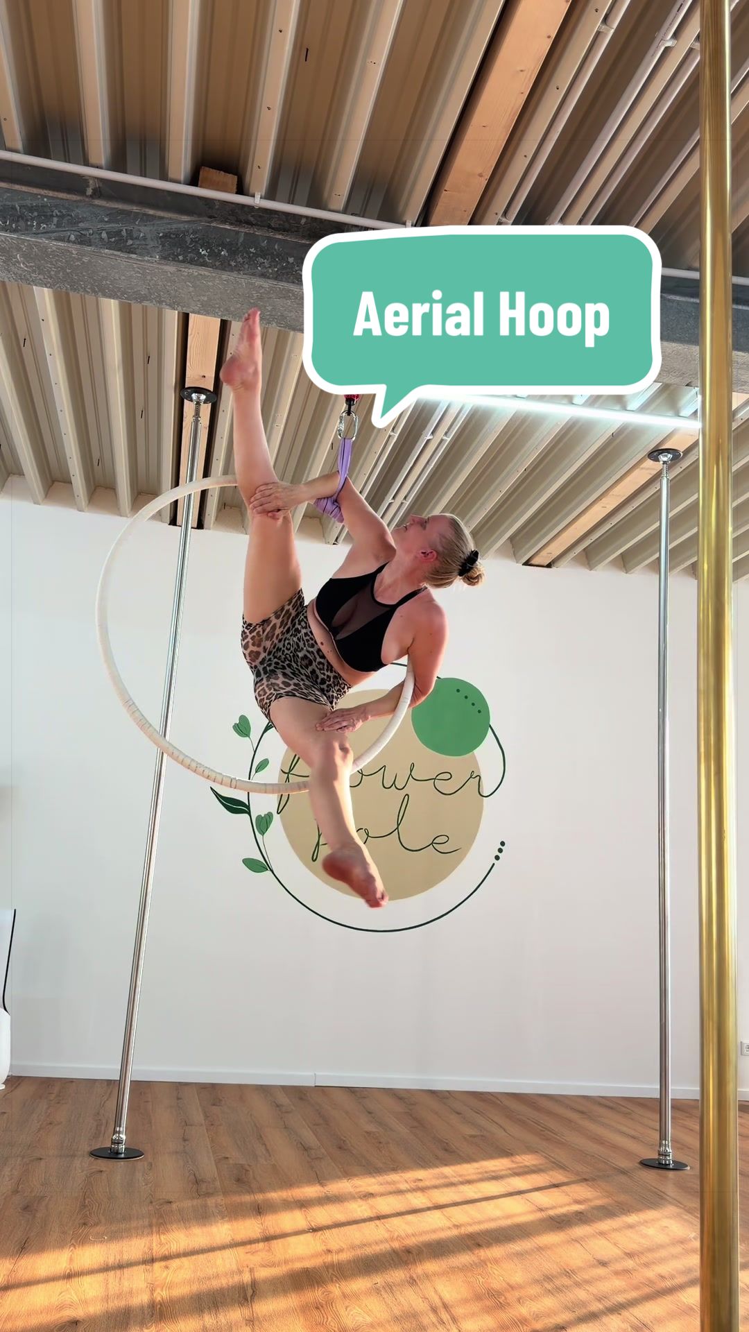 @aerial_vanni