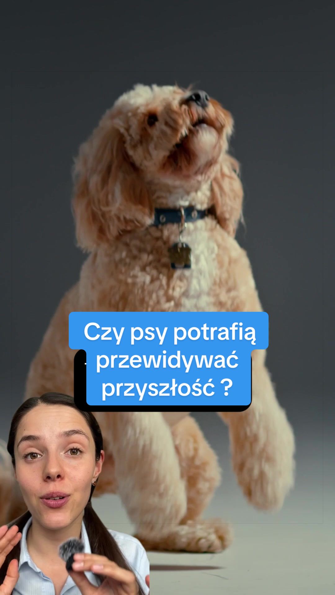 @DW Polska