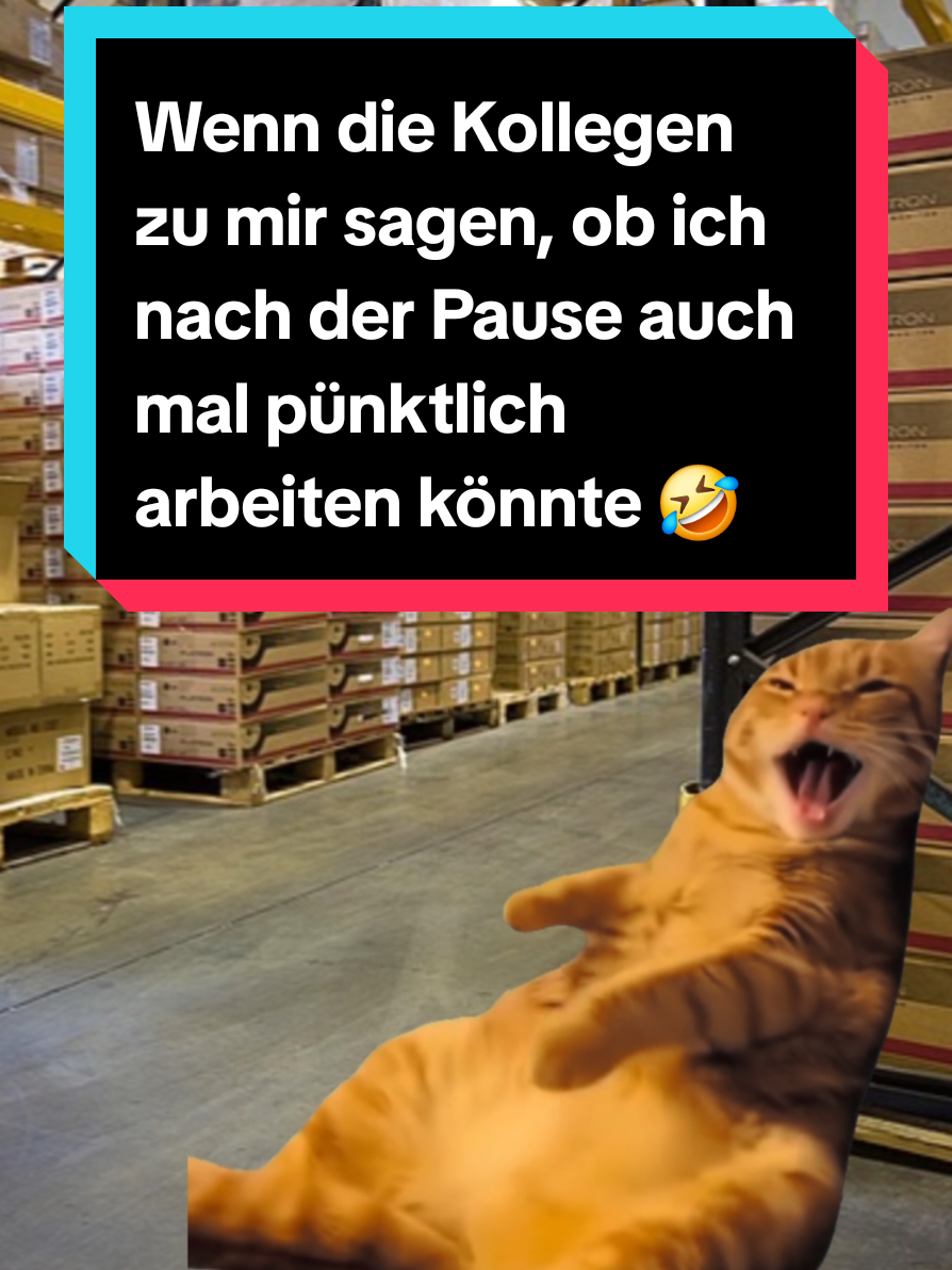 @BroFactsDE