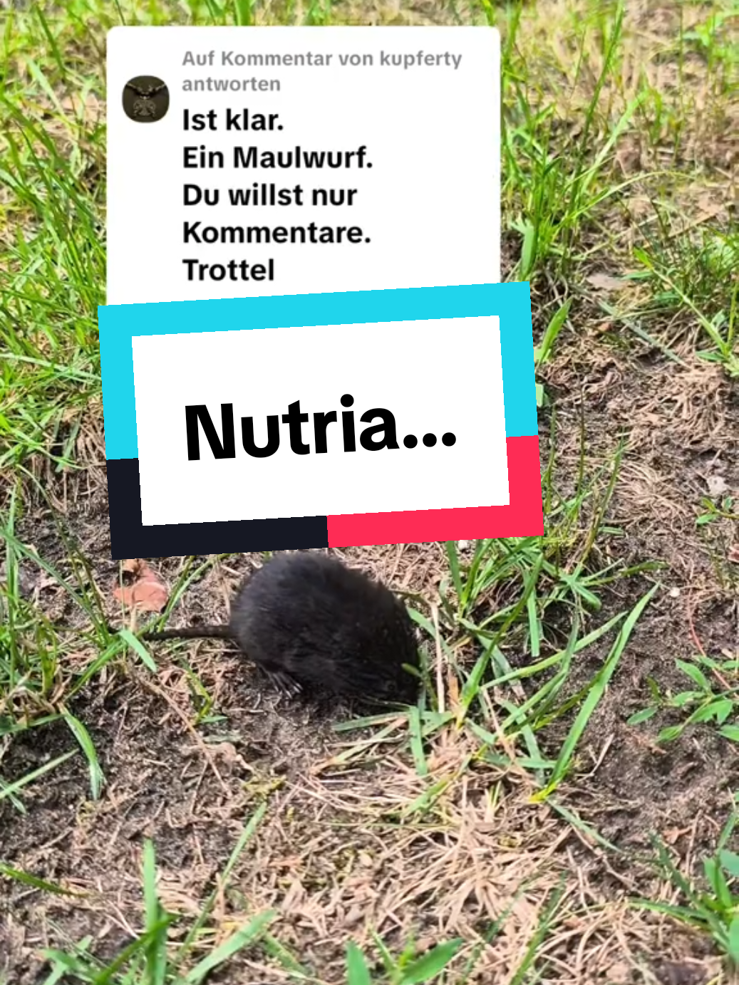 @DieSelbstvOrsorger