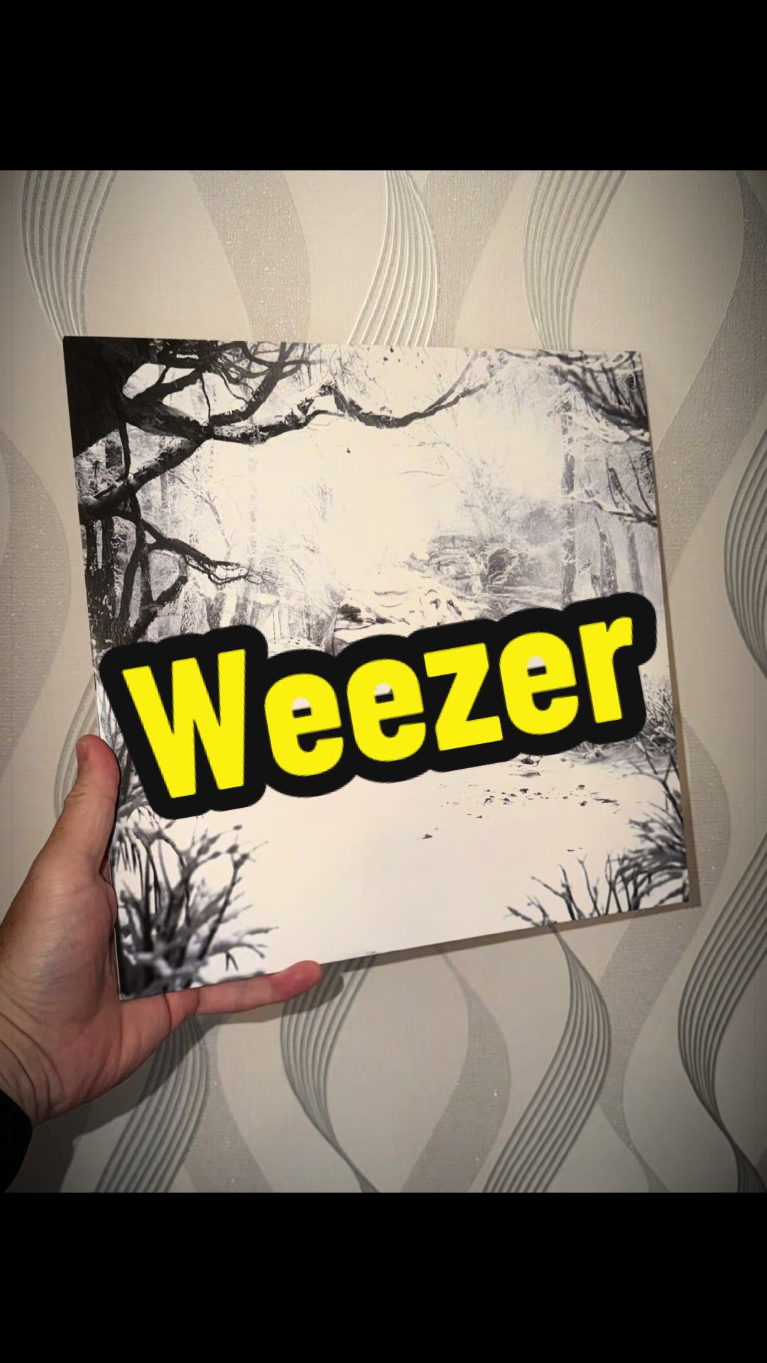 @dcvinyl1977