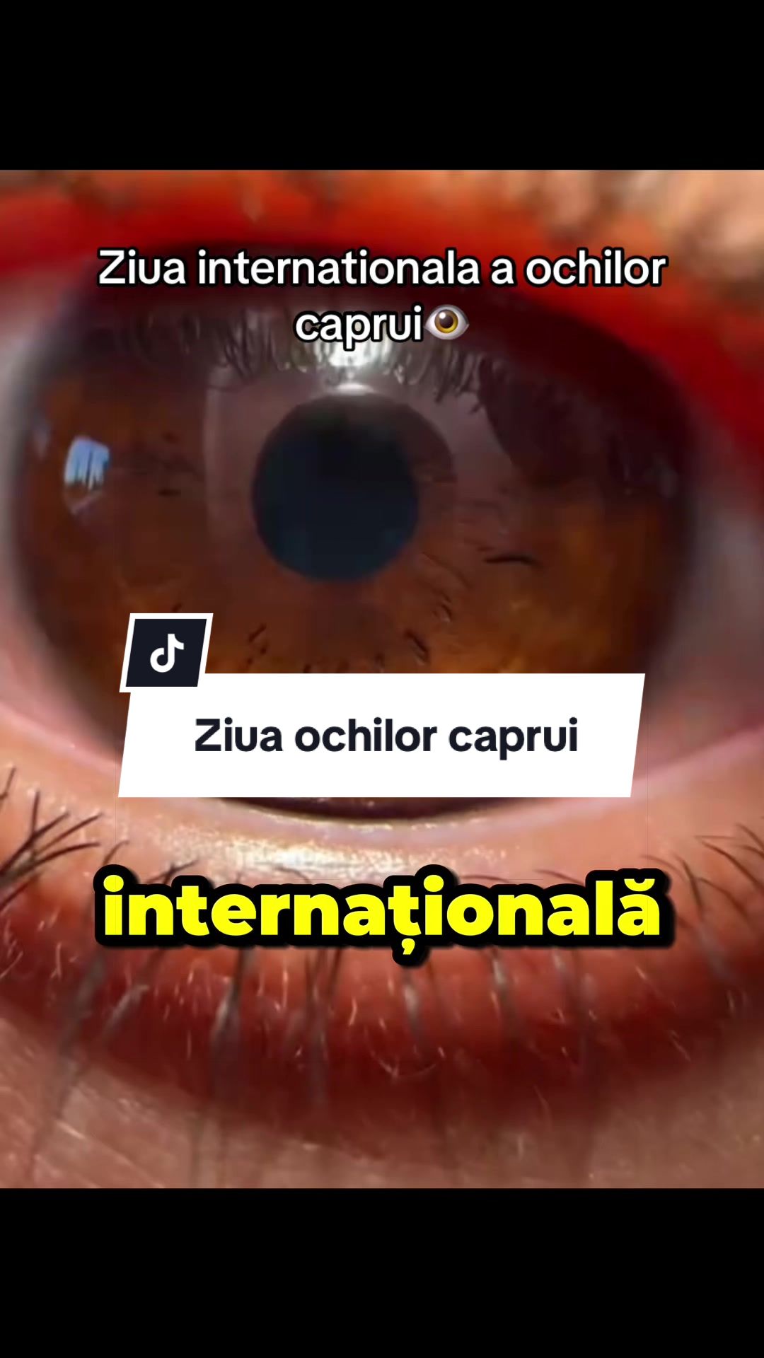 @CostiCuriosul