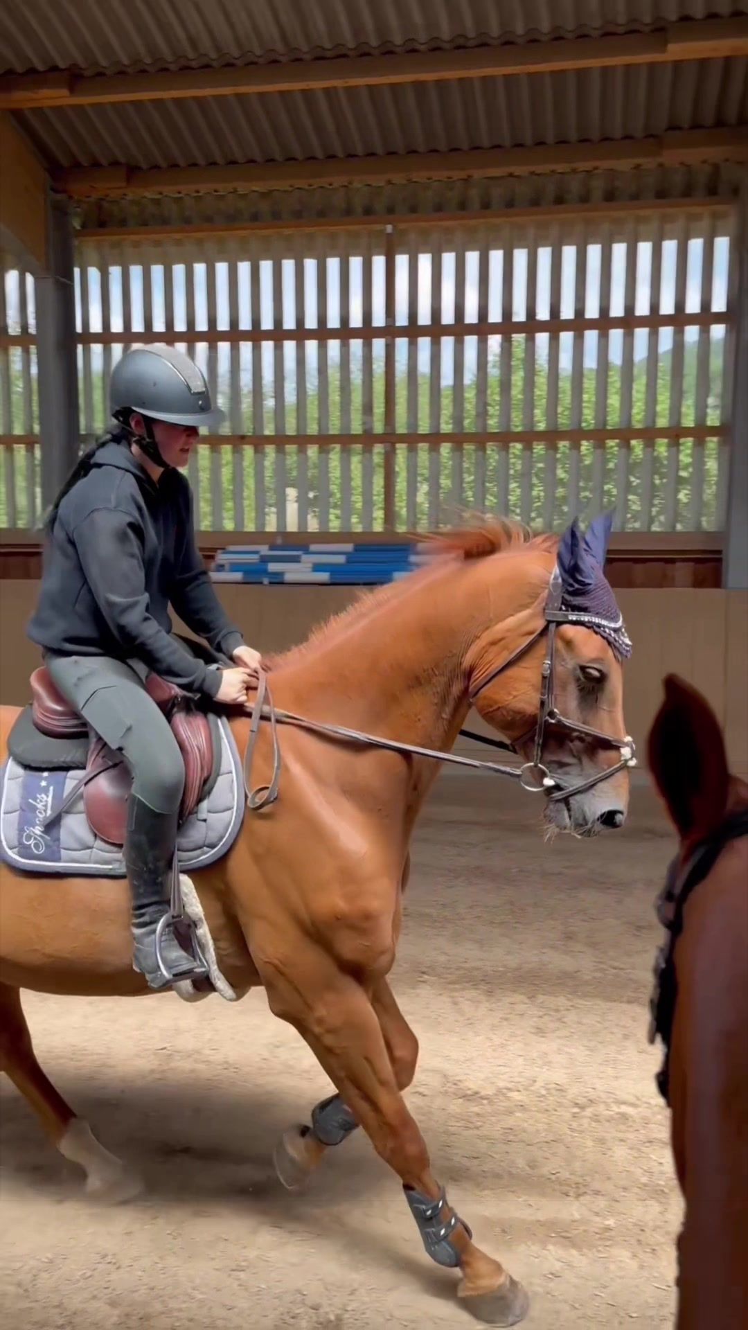 @annalisa.equestrian