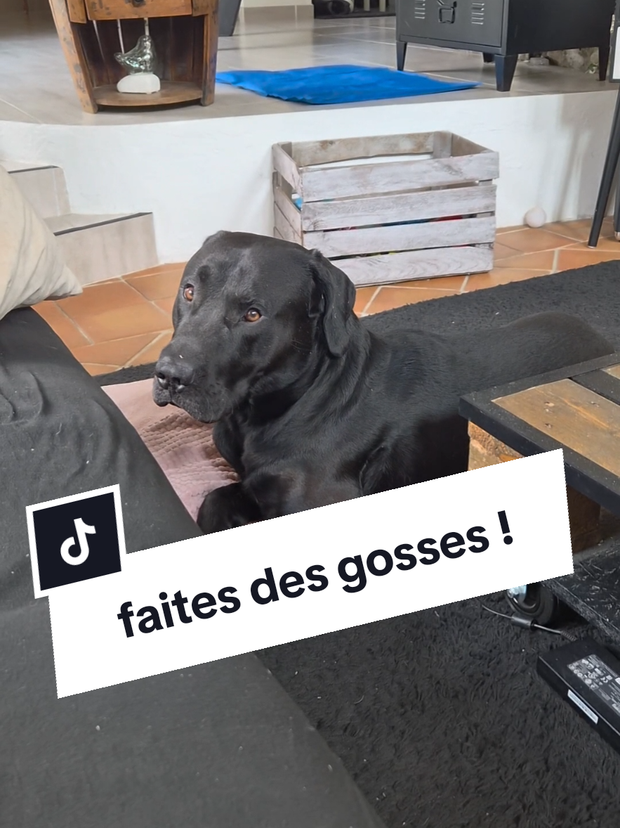 @Battman Batou