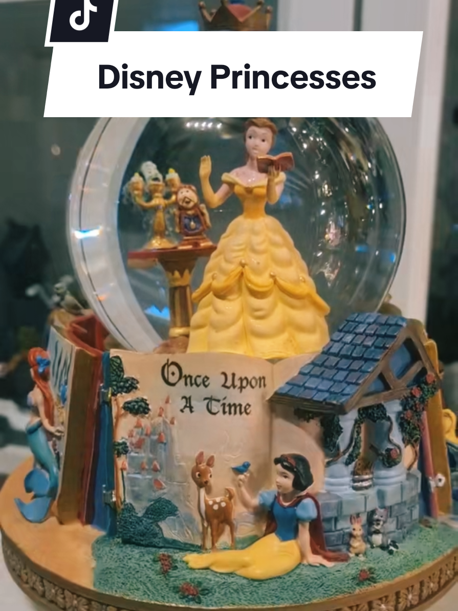 @Christin | Disney Collector