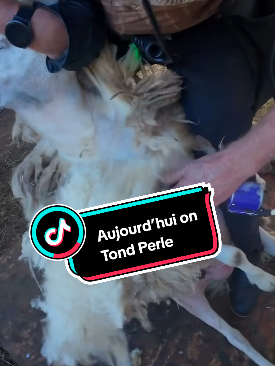 @TMFR 🇫🇷