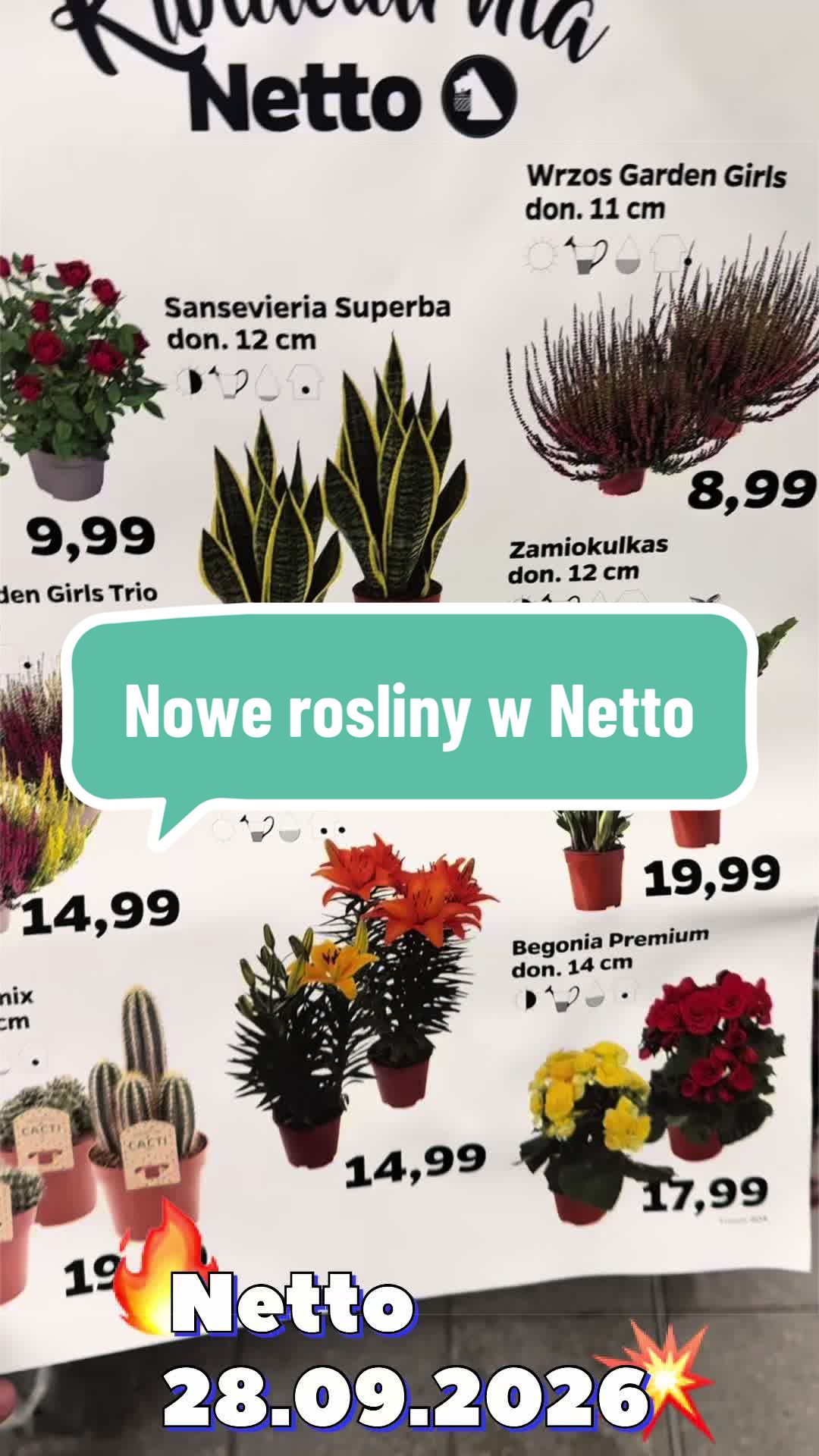 @maciej.plants