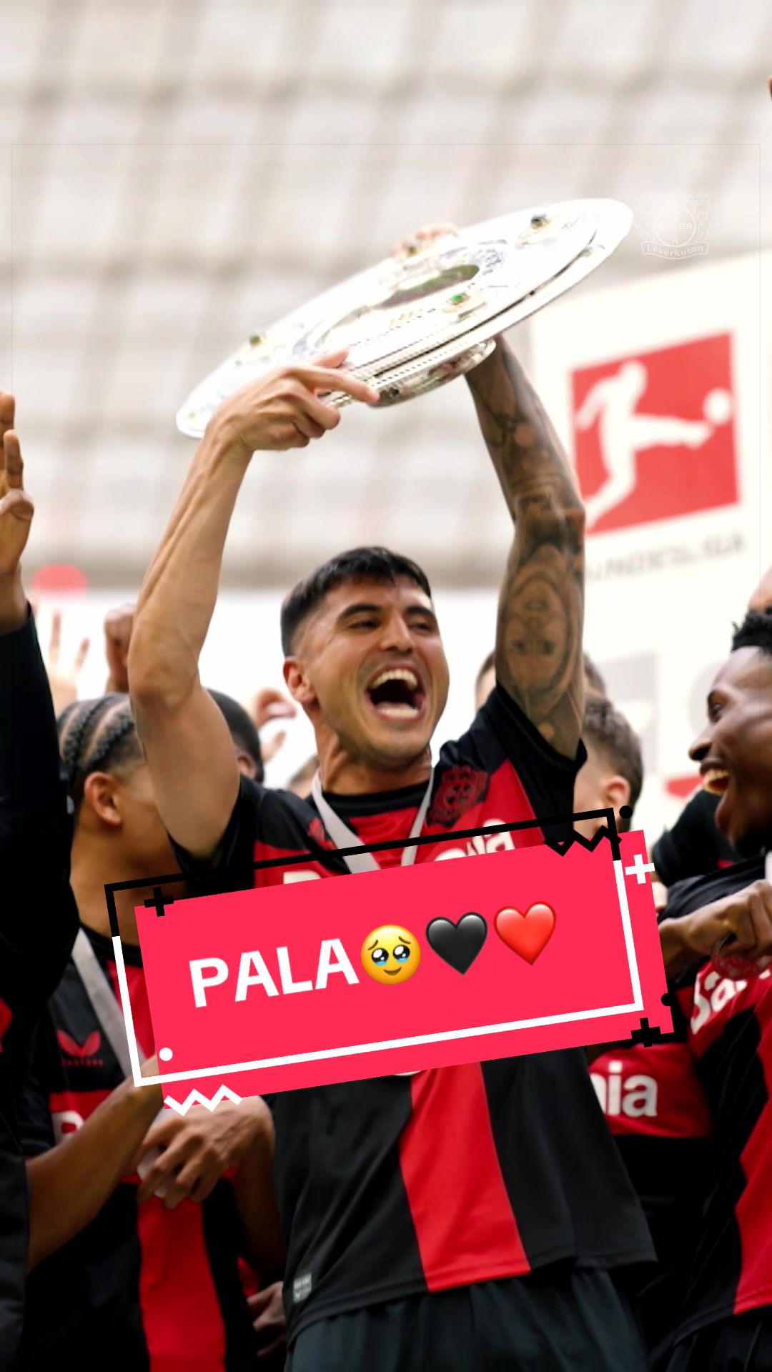 @bayer04