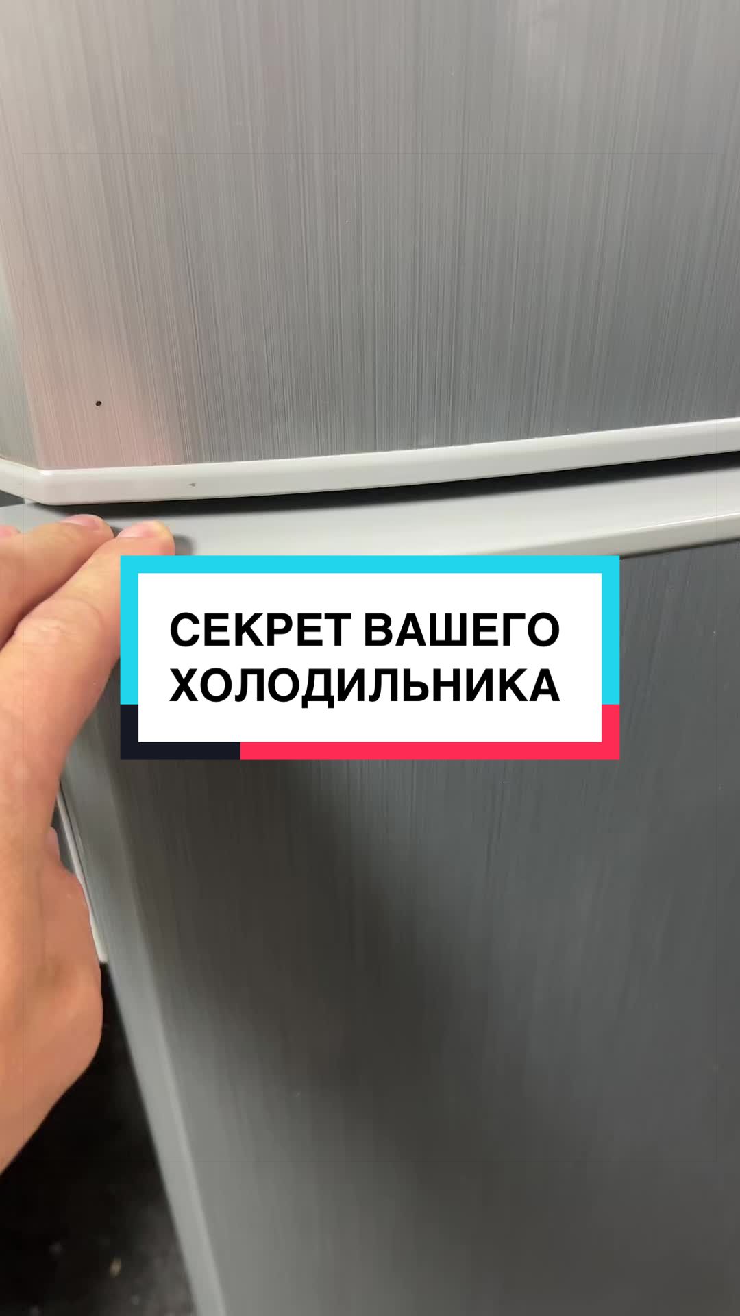@laifhak_mozgi
