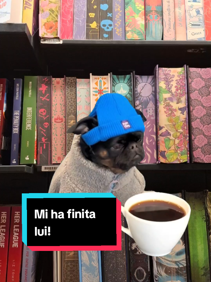 @Fulvia 📚