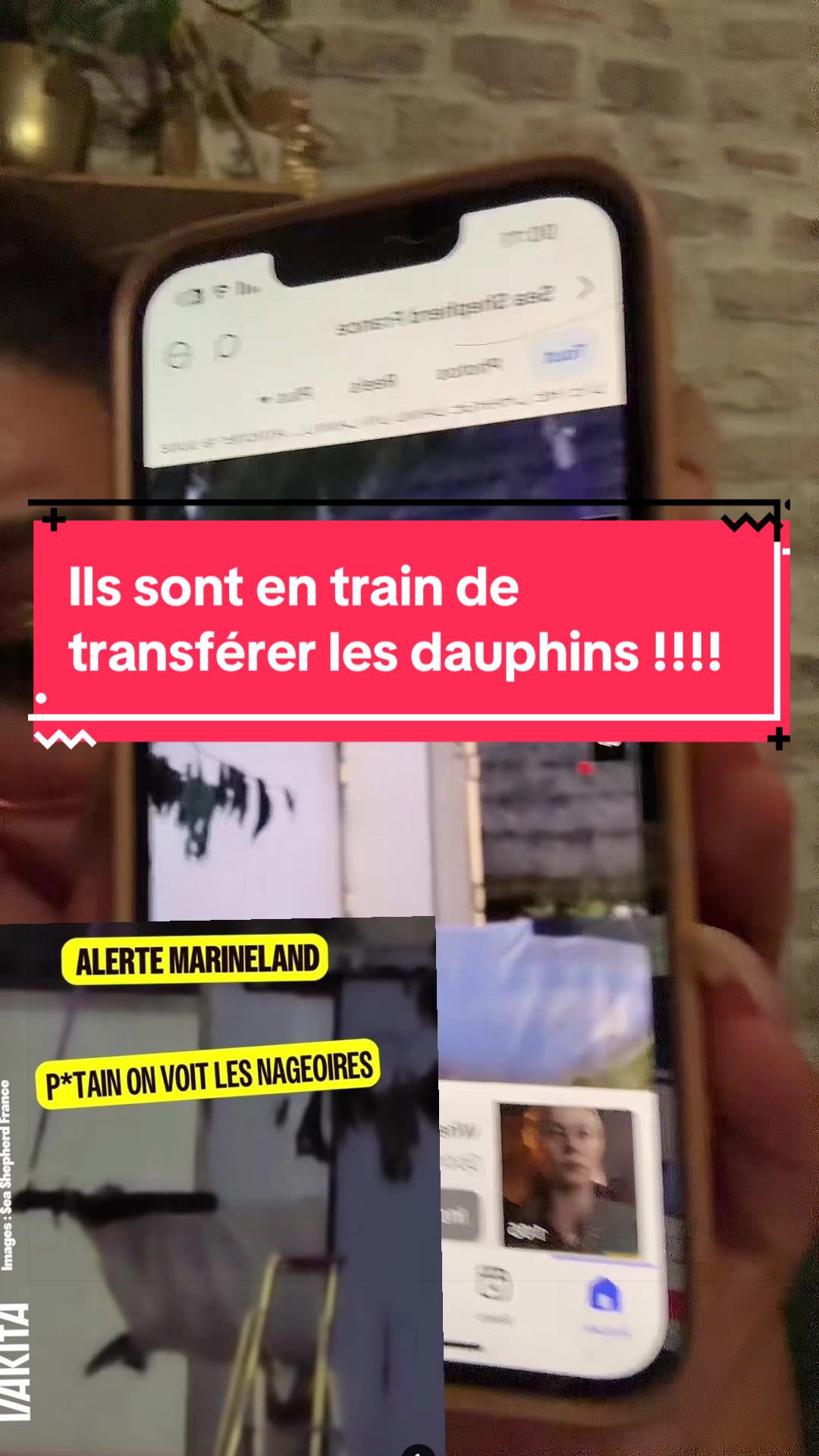 @sablux500