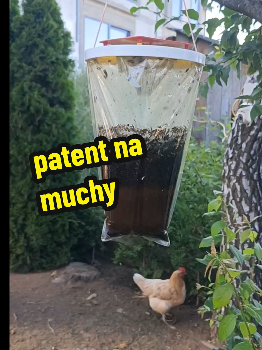 @Marcin ogrodnik