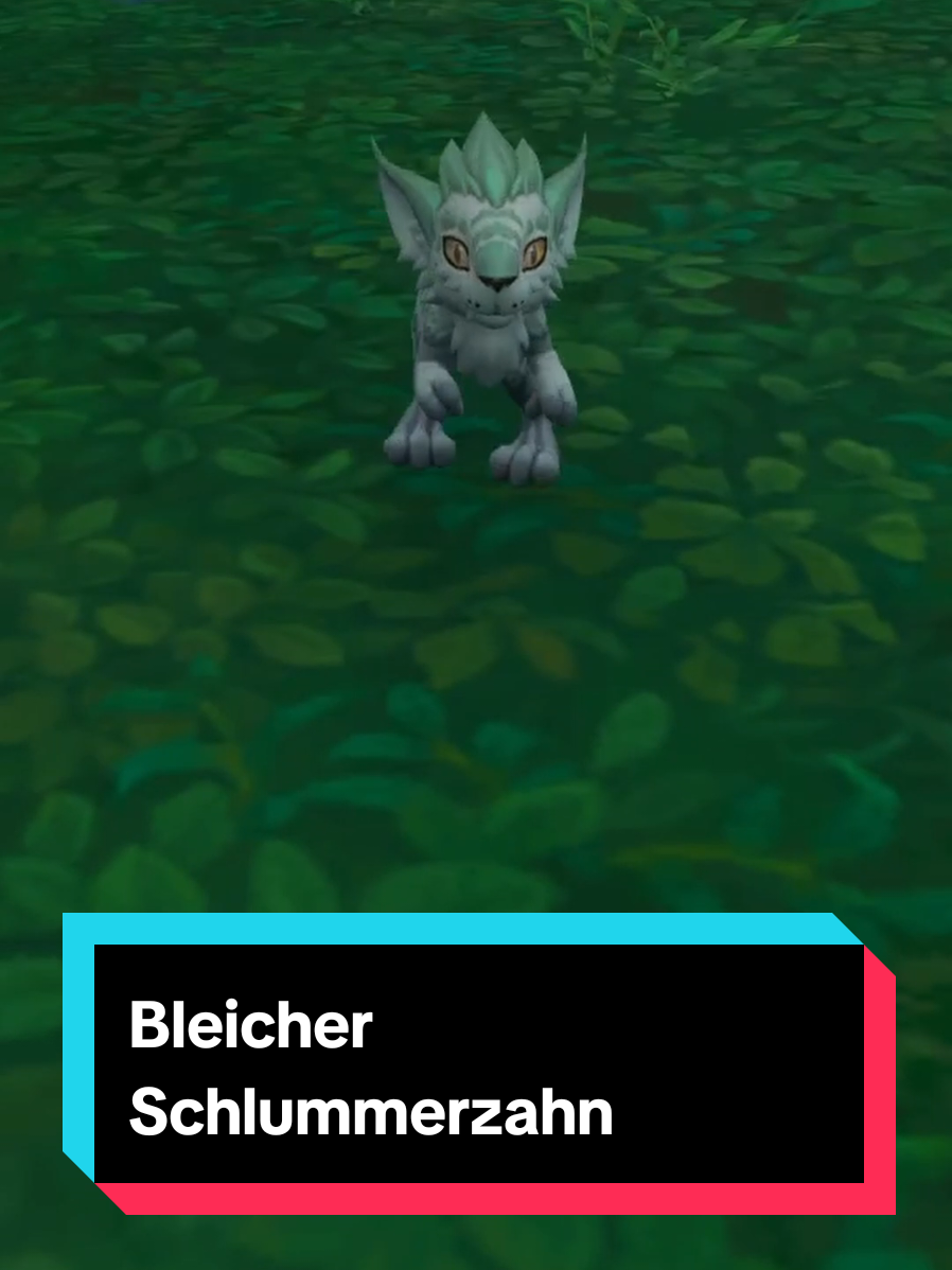 @Die_Novi || Twitch
