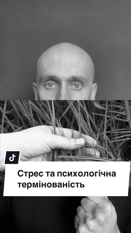 @Vadym Sapiens