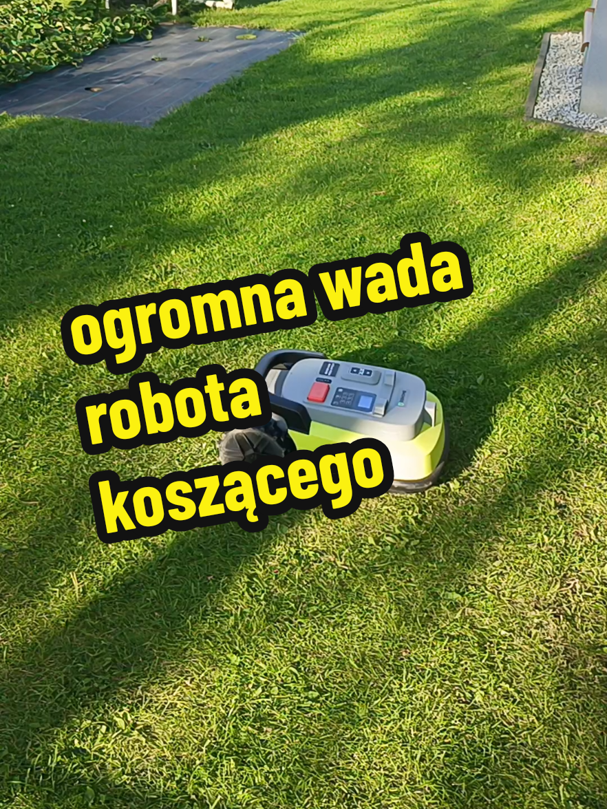 @Marcin ogrodnik